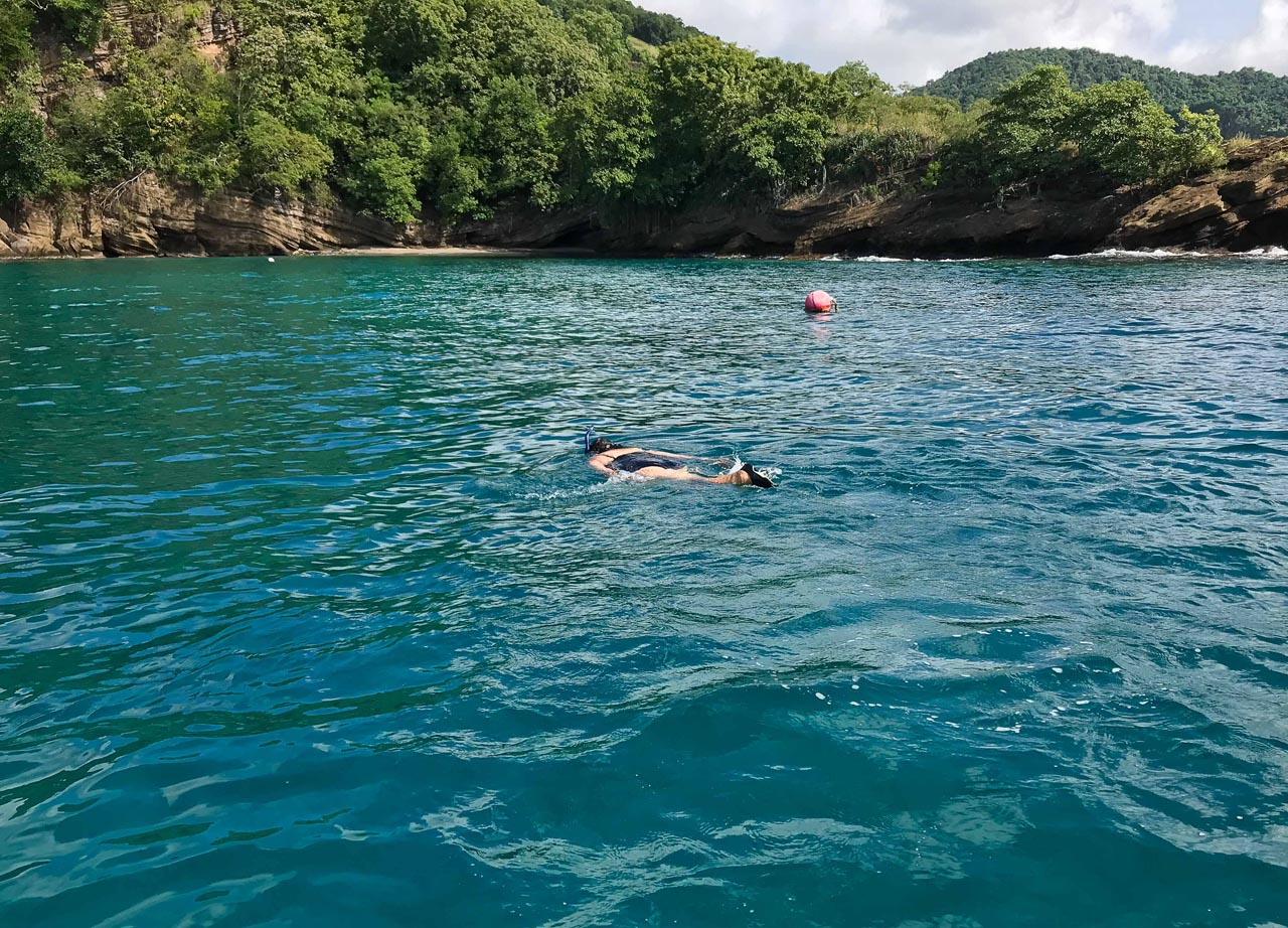 grenada holidays ideas for things to do snorkelling
