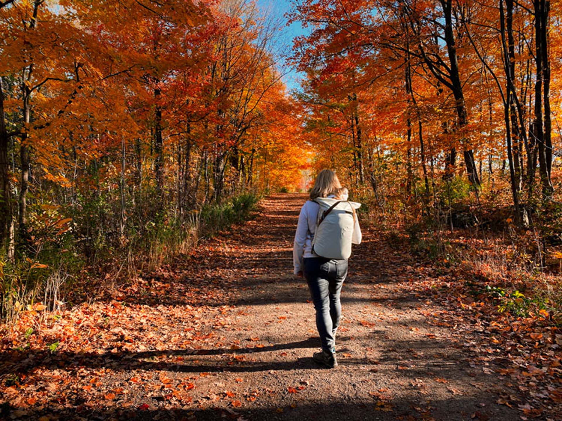 best day trips from Toronto Milton trails