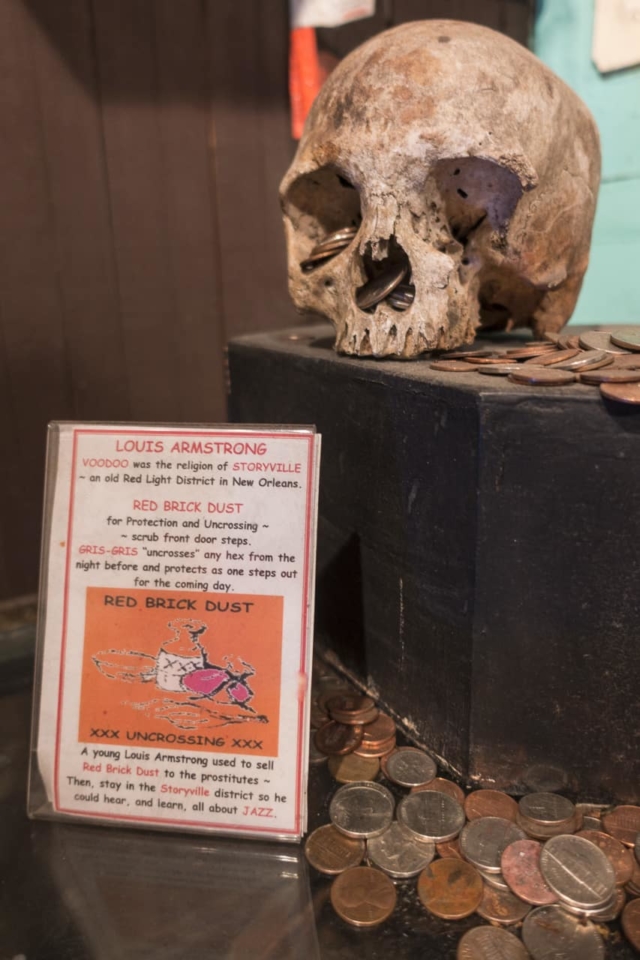skull in voodoo museum