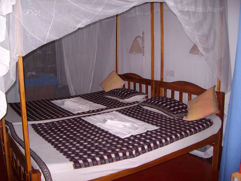 healthy abroad bed