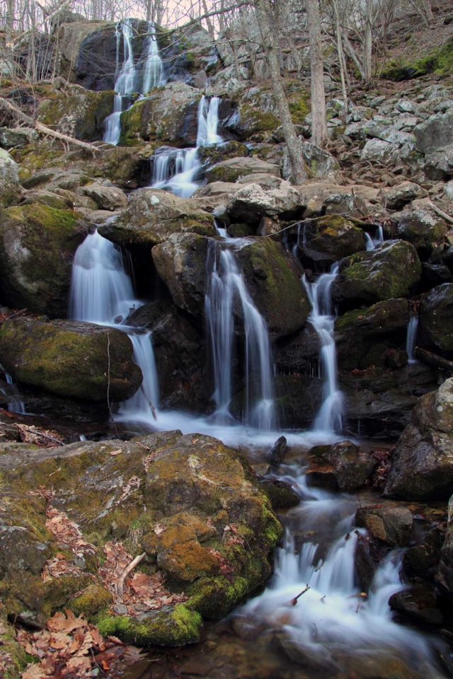 Rose River Falls Trail Hikes in Shenandoah National Park Dark Hollow Falls
