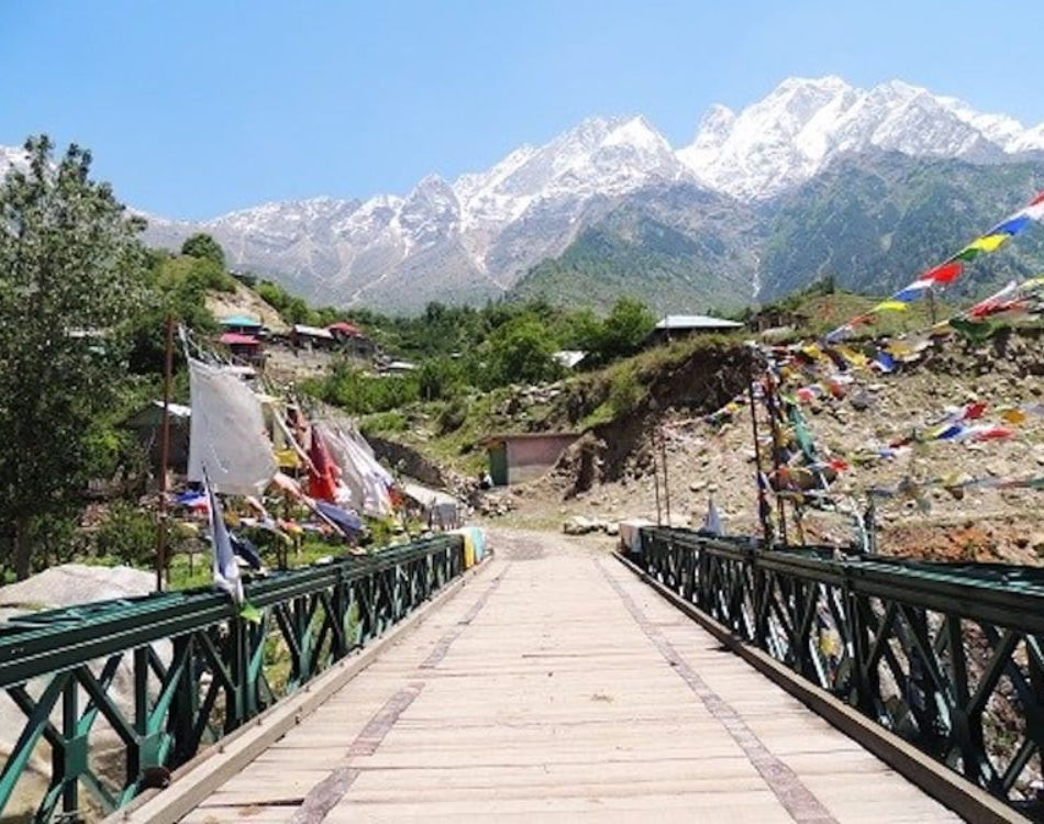 7  Best Hill Stations Near Delhi to Experience True India