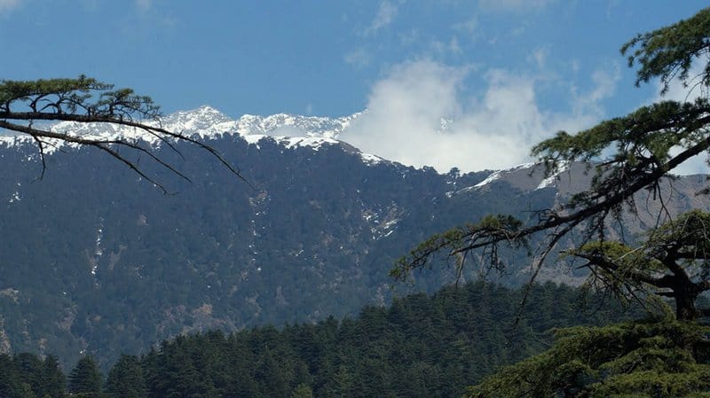 himachal pradesh - solo travel India - Himalayas from Mcleaoganj