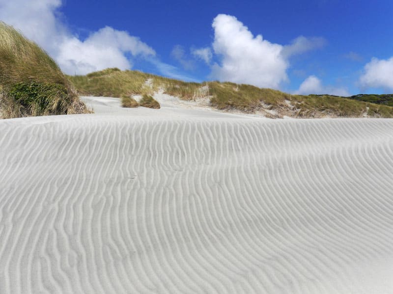 new zealand sand