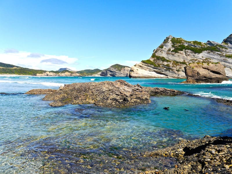 new zealand water
