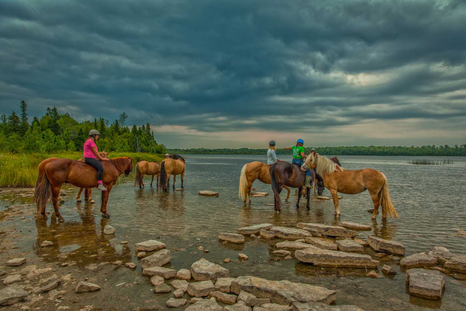 Taking the horses for a drink on Manitoulin Island