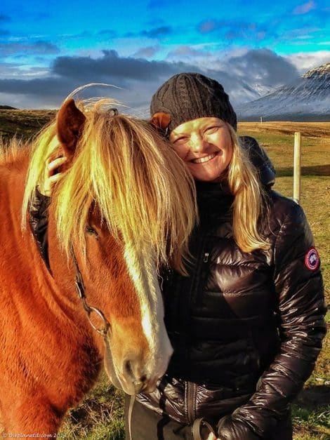 The Icelandic Horse - All You Need To Know About This Beautiful Breed