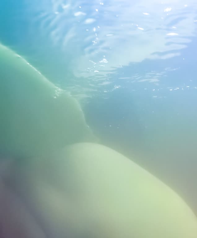 kayaking with Beluga Whales next to Dave's boat