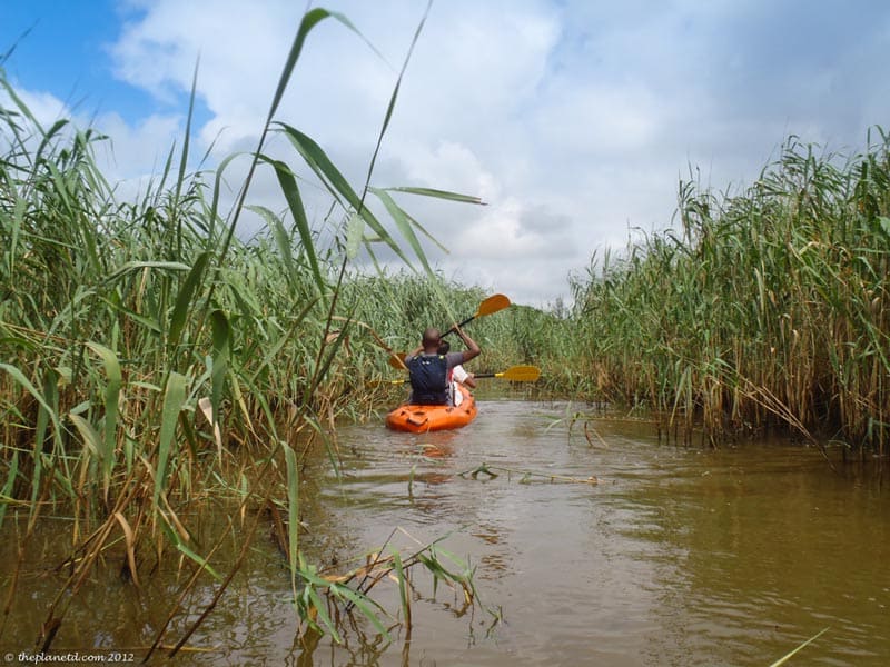 kayaking through marsh in south africa