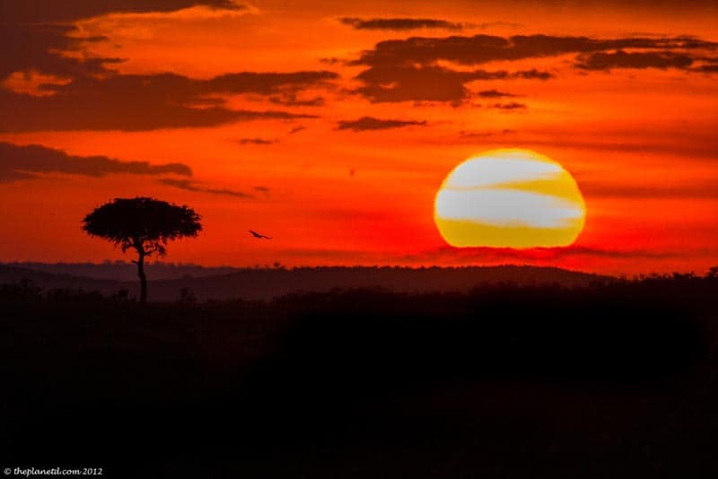 pictures of kenya sunset over masai mara