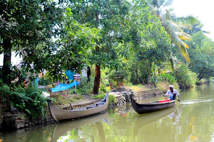 man on canoe view from houseboat tour in alleppey india