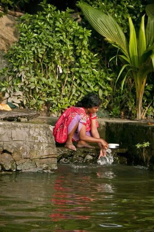 woman washing in kerala backwaters