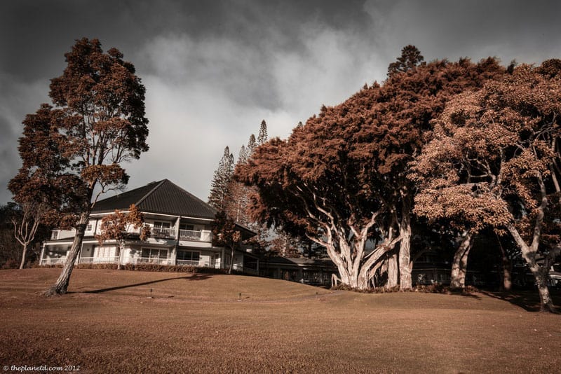lanai pictures trees