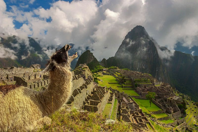 life well travelled machu picchu