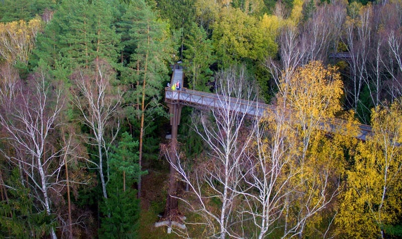 adventures in lithuania treetop walking