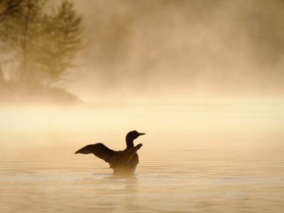 17 Best Things to Do in the Upper Peninsula, Michigan (2025 Guide)