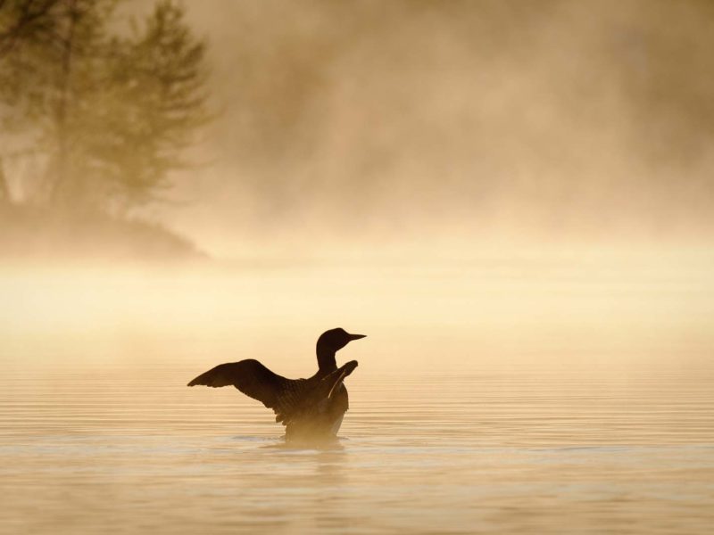 17 Best Things to Do in the Upper Peninsula, Michigan (2025 Guide)