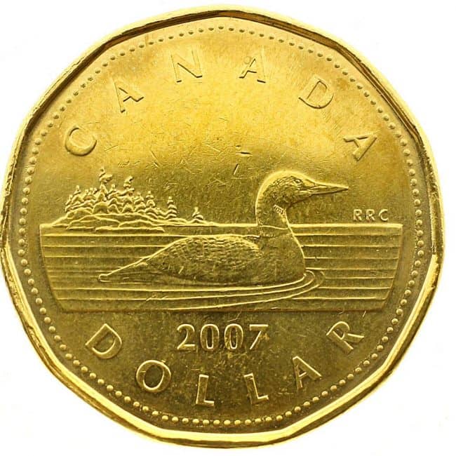 Loonie | canadian sayings