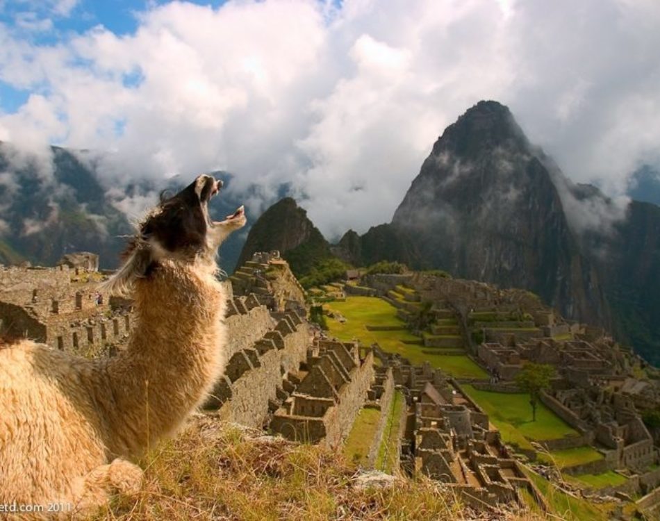 How to Plan a Trip to Machu Picchu