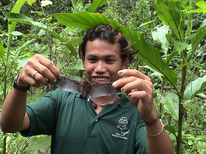 wildlife trekking borneo