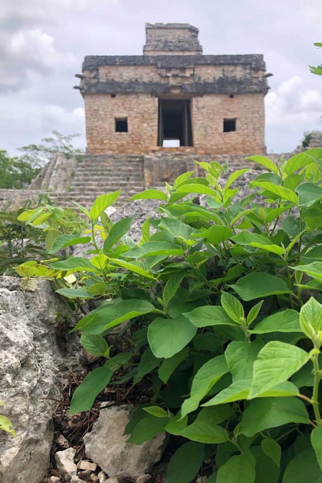 nearby ruins of tulum Dzibilchaltún