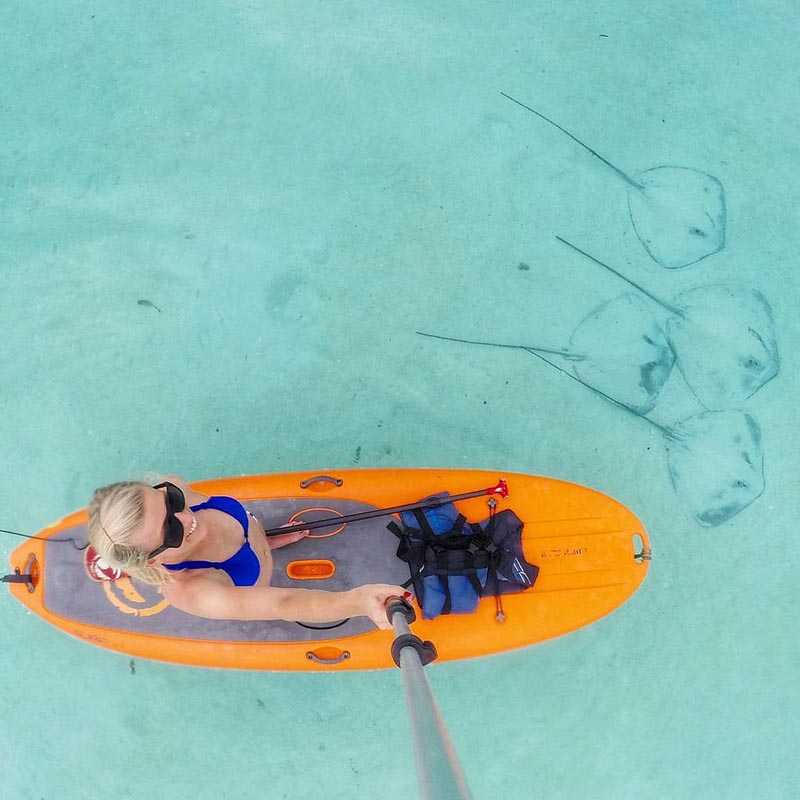 paddle boarding moorea