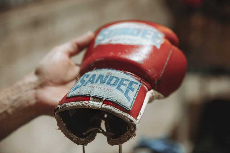 muay thai boxing glove