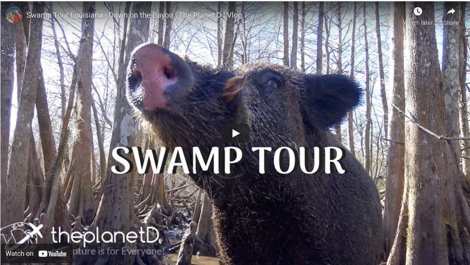new orleans swamp tour