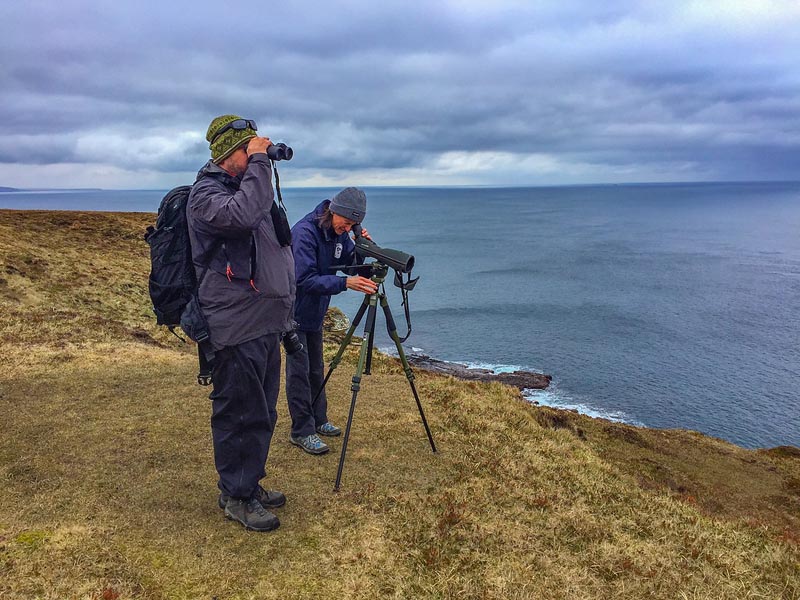 cathness wildlife tours