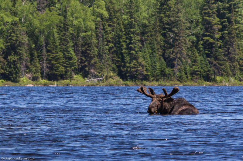 7 Sizzling Outdoor Ontario Adventures For Summer The Planet D - 