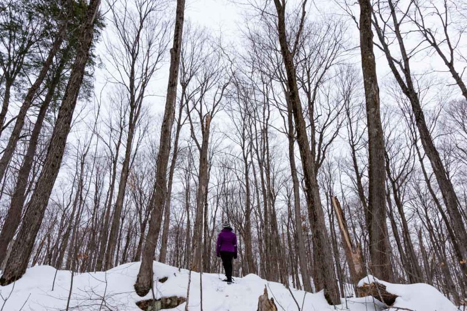 Ottawa Attractions 20 Winter Activities to Embrace the Snow