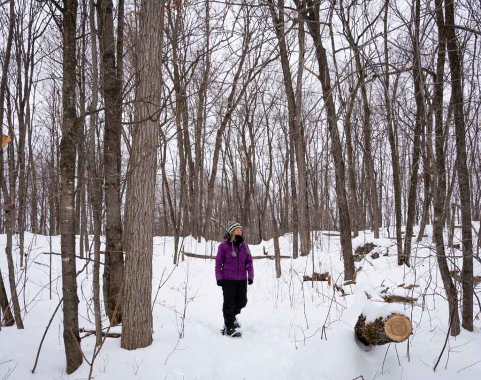 Ottawa Attractions – 20 Winter Activities to Embrace the Snow