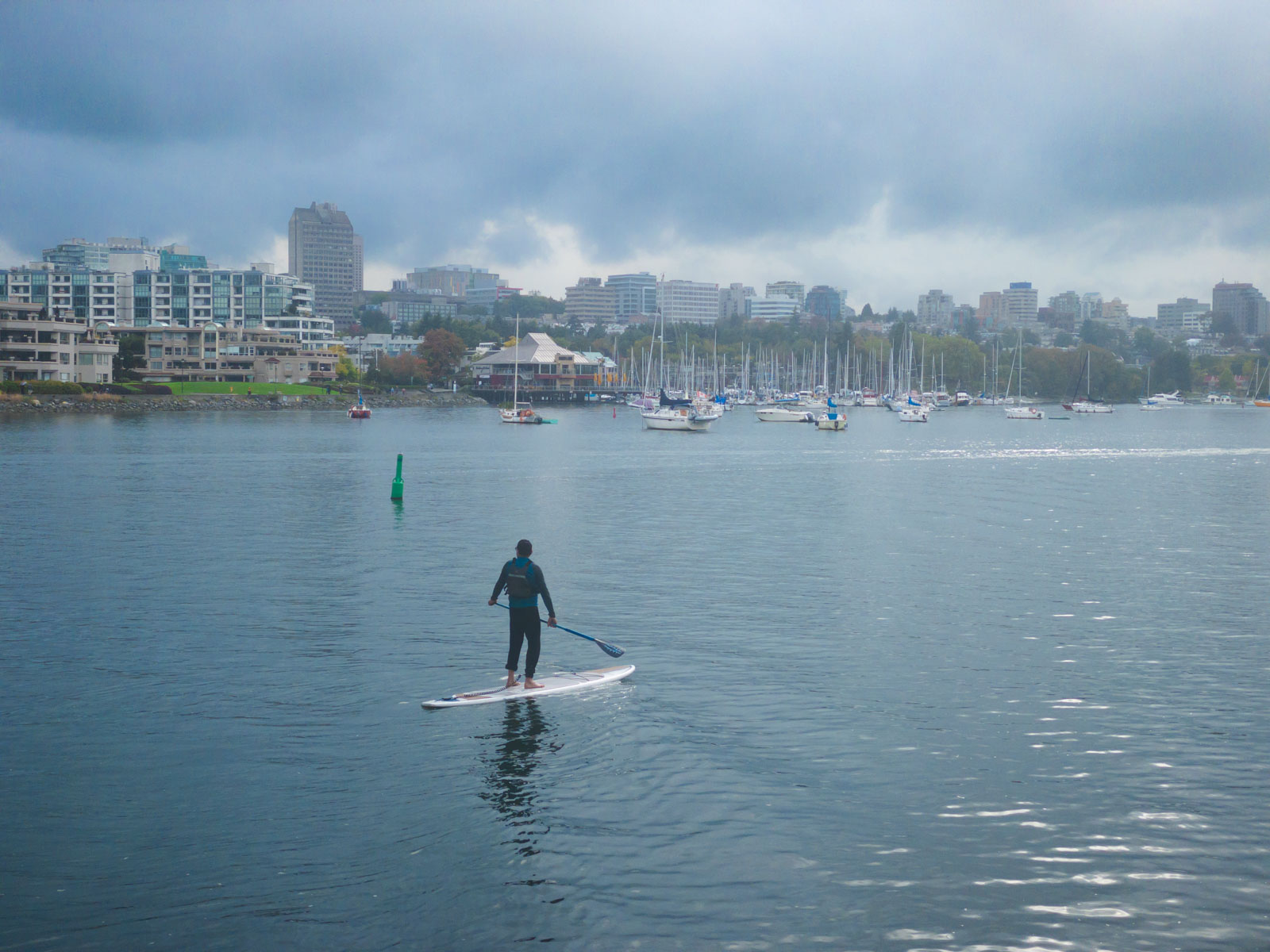 Paddleboarding on the calm water of Deep Cove, looking towards shoreline.
