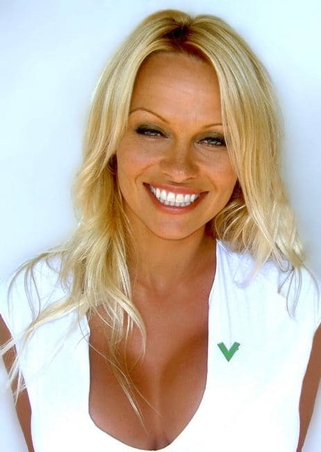 pam anderson
