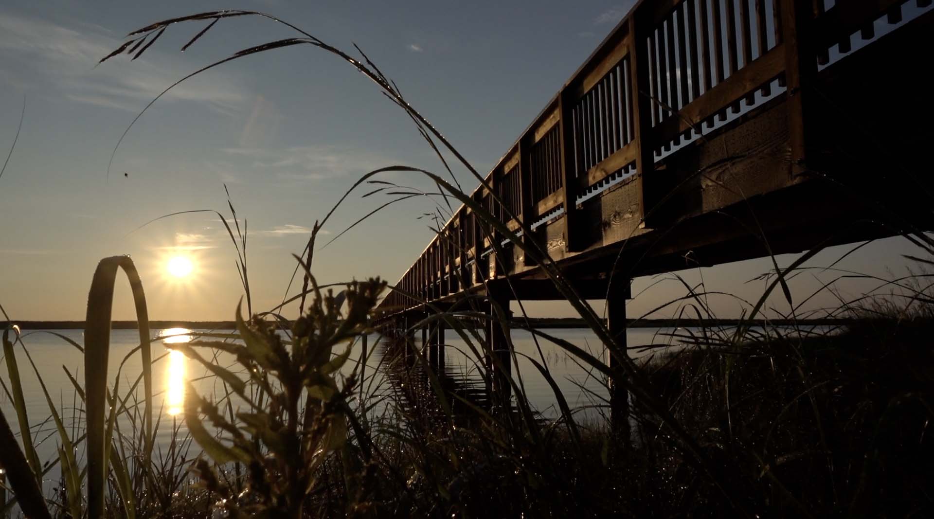 wooden walkway at sunrise