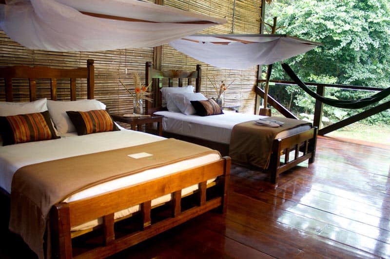 sustainable lodging in the rainforest of peru