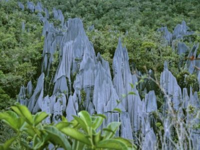 The Pinnacles of Borneo – Amazing Wonder of Gunung Mulu