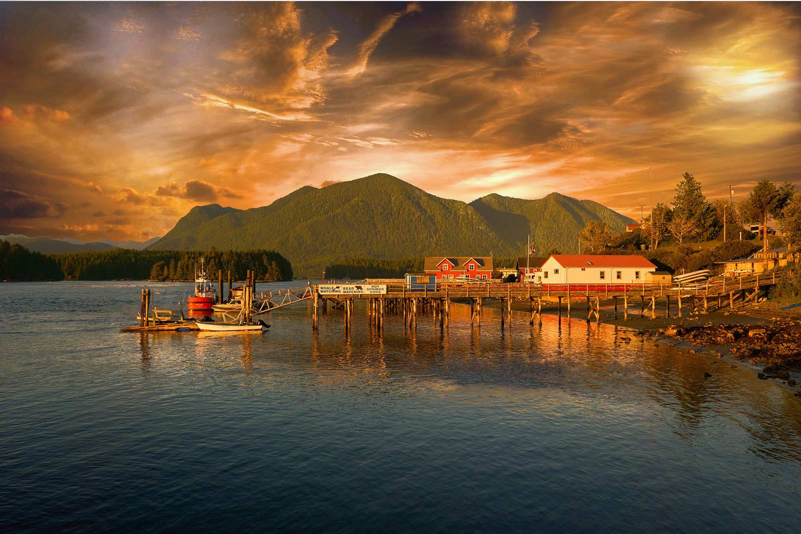 places to visit in bc tofino