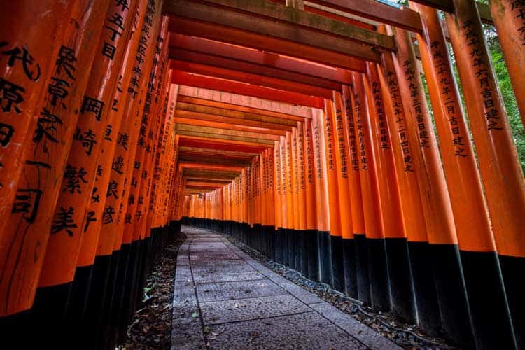 kyoto sightseeing | Fushimi inari shrine