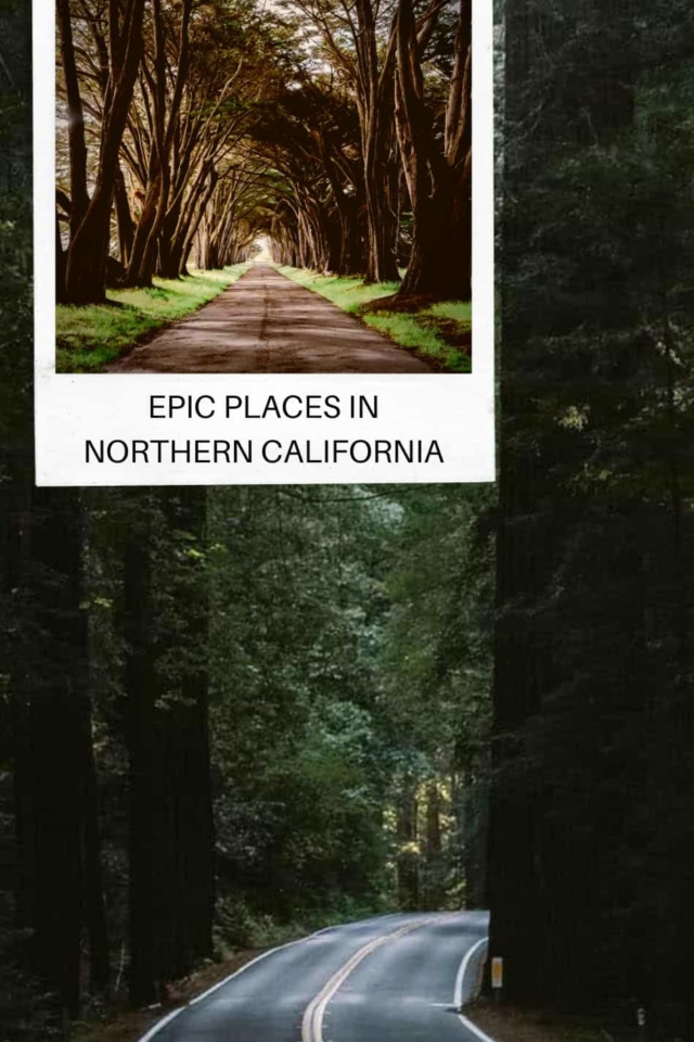Epic Places to Visit in Northern California