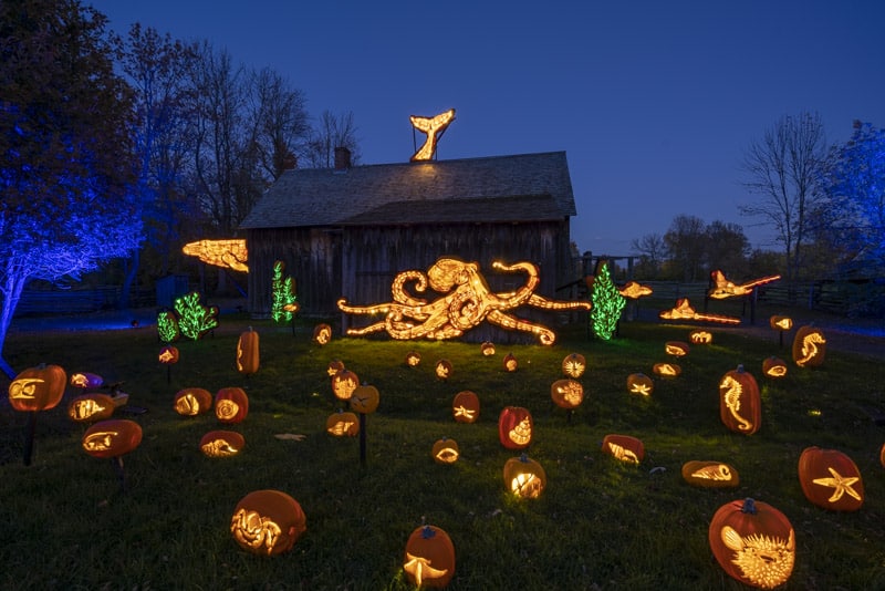Pumpkinferno Display at Upper Canada Village