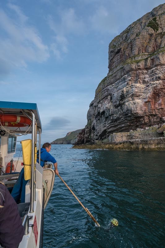 what to do in wales lobster safari