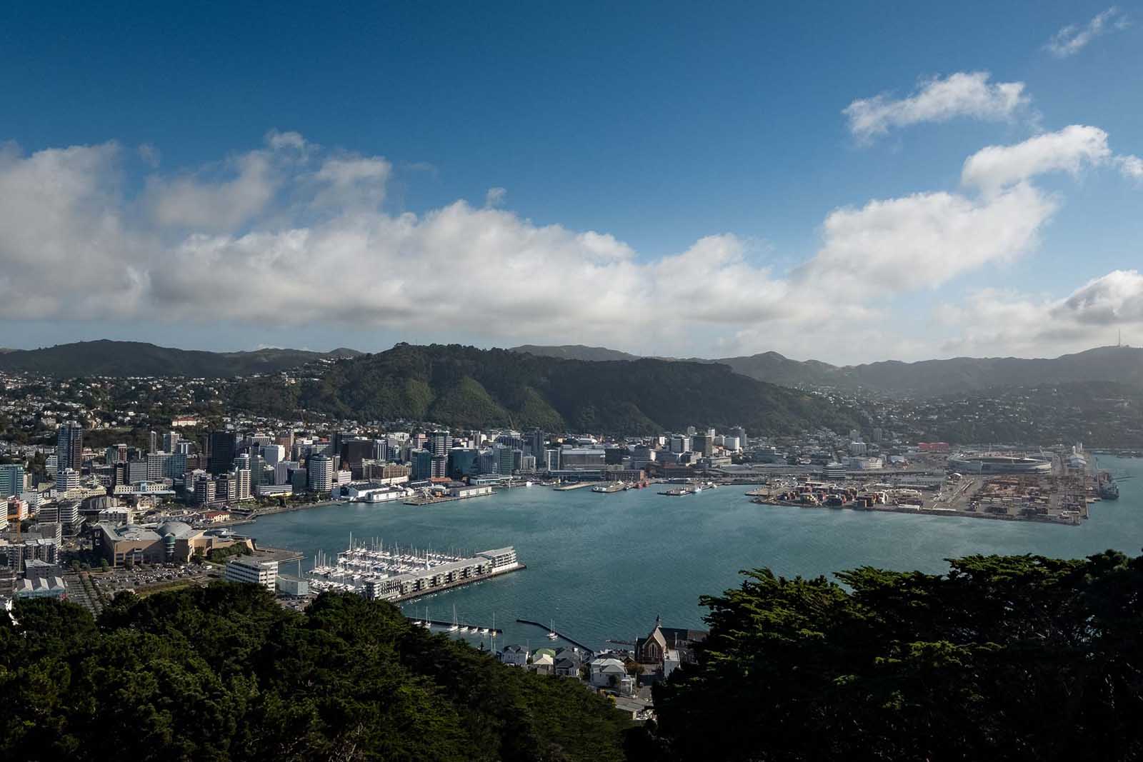 places in wellington for great views mount victoria lookout