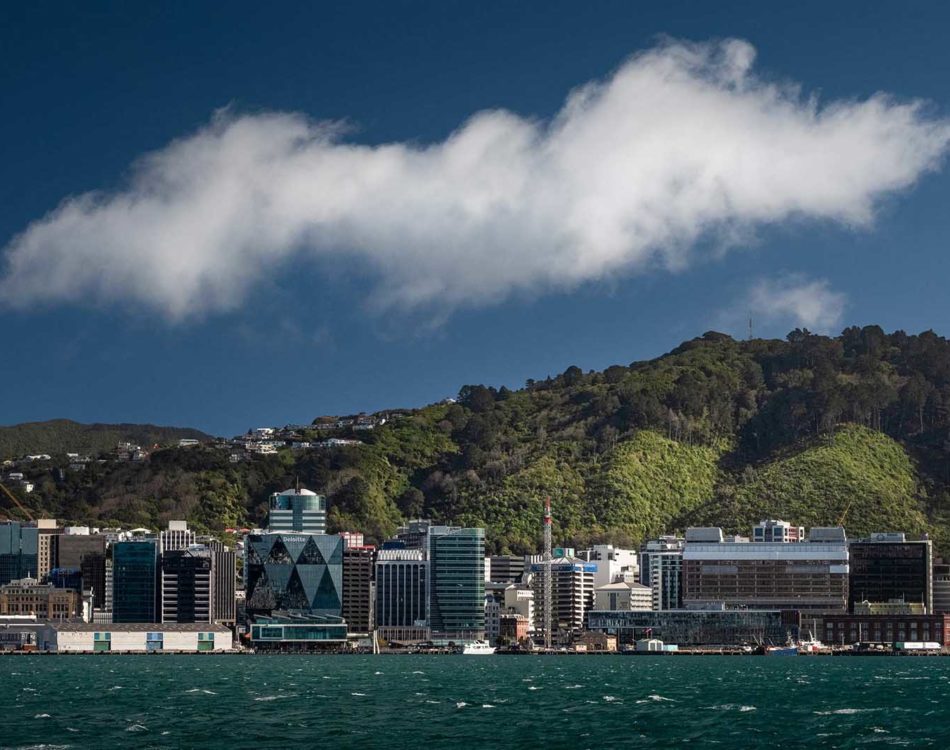 The Best Places to Visit in Wellington, New Zealand