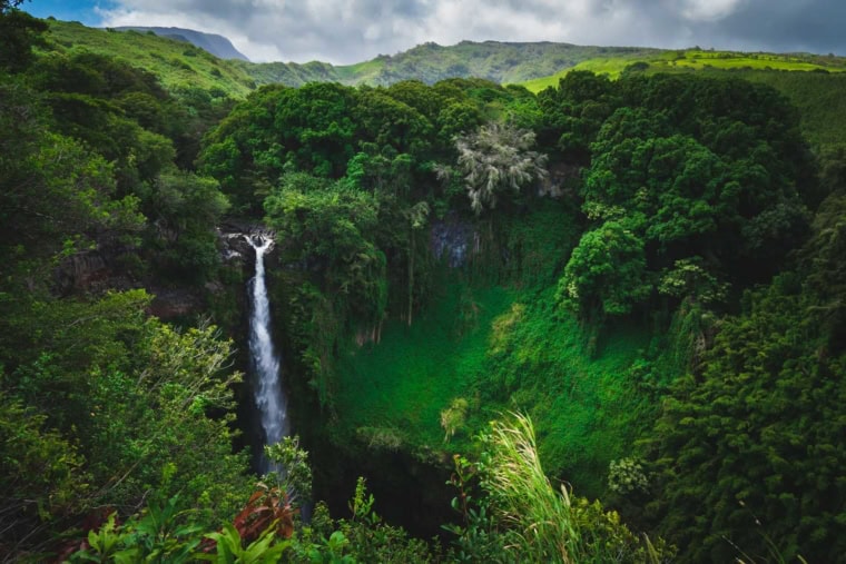 Green lush waterfall views in Maui