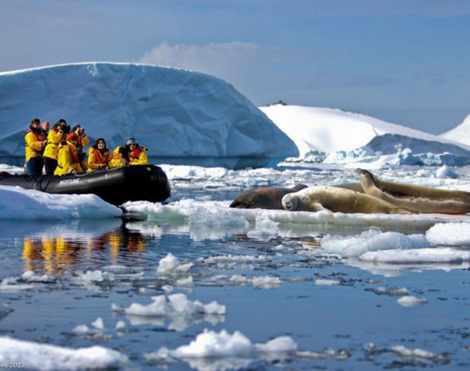 A Zodiac Tour of Pleneau Bay, Antarctica