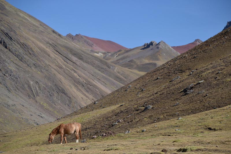 rainbow mountain horse trek