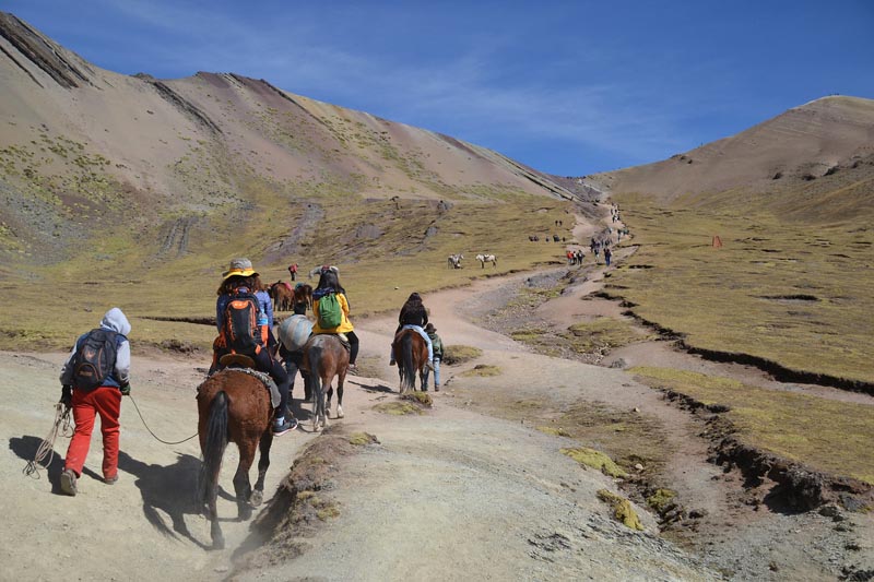 rainbow mountain horses