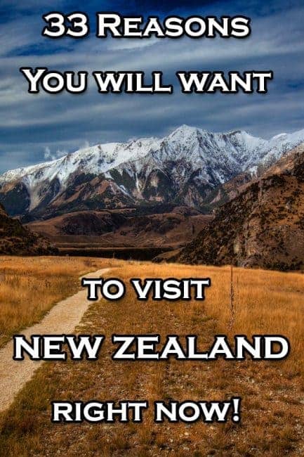 why visit new zealand essay