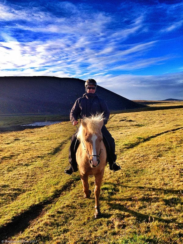 riding an iceland horse